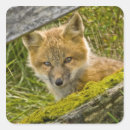 Suche nach zaun aufkleber Tag
