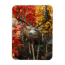 Recherche de whitetail vœux cartes Cerf