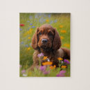 Suche nach cocker spaniel puzzle Blume