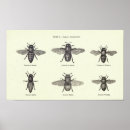 Recherche de abeille miel posters Apiculteur