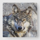 Suche nach grauer wolf wanduhren Wölfe