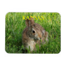 Recherche de oreilles de lapin magnets Coloré