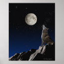 Recherche de lune loup posters Ciel nocturne