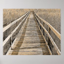 Suche nach sümpfe poster Sumpfgebiete