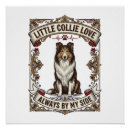 Recherche de collie posters Animal