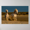Recherche de camargue posters Ciel