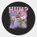 Recherche de le chat le plus drôle autocollants Antibide