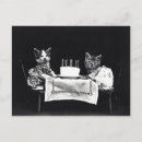Recherche de chat noir anniversaire cartes Chattes