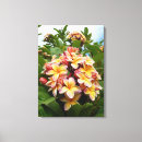 Suche nach frangipani leinwandbilder Tropisch