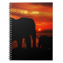 Recherche de éléphants carnets Coucher de soleil