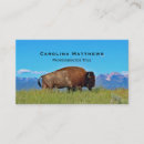Suche nach amerikanischer bison visitenkarten Tiere
