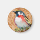 Suche nach finken magnete Tierwelt