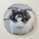 Suche nach shih tzu kissen Niedlich