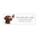 Recherche de adresse de papillon Personnalisation
