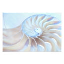 Suche nach nautilus seashell poster Strand