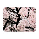 Recherche de fleurs de cerisier magnets Arbre