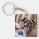 Suche nach happy dog schlüsselanhänger Glücklicher hund