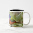 Recherche de perce tasses Oiseau