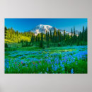 Suche nach rain poster Washington staat