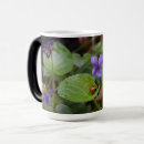 Recherche de coccinelle tasses Coléoptère