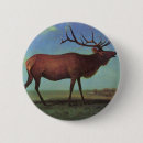 Suche nach geweih buttons Bock