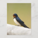 Suche nach schlucken postkarten Natur
