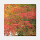 Recherche de arbre japonais magnets Automne