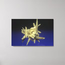 Suche nach mineralien leinwandbilder Kristall