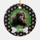 Suche nach pfote ornamente Dogs