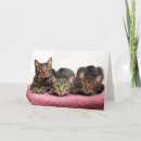 Recherche de favoris vœux cartes Animaux