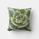 Suche nach kakteen kissen Fotografie