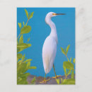 Suche nach eber poster postkarten Natur