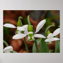 Recherche de neige posters Blanc