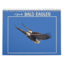 Suche nach adler kalender Wild lebende tiere