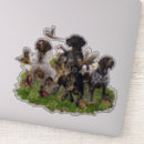 Recherche de faisans autocollants Chasse