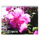 Suche nach schönheit kalender Pflanze