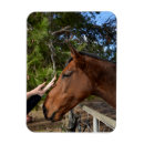 Recherche de hommes des cavernes magnets Animal