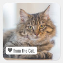 Suche nach graues kätzchen aufkleber Niedlich