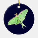 Recherche de mite de luna Vert
