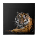 Recherche de animaux de jungle carreaux Safari