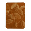 Recherche de botanique magnets Fleurs