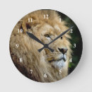 Recherche de lions africains horloges Grand chat
