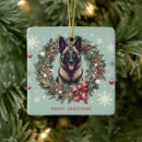 Recherche de malinois ornements Noël