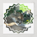 Suche nach wilde katzen einladungen Tier