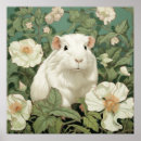 Suche nach guinea pig poster Nagetier