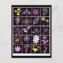 Suche nach neon mit blumen postkarten Botanisch