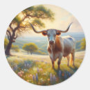Suche nach texas aufkleber Sonne