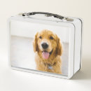 Suche nach golden retriever brotdose brotdosen Lächeln