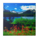 Recherche de christopher carreaux Bleu