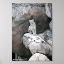 Suche nach puma berglöwe poster Natur
